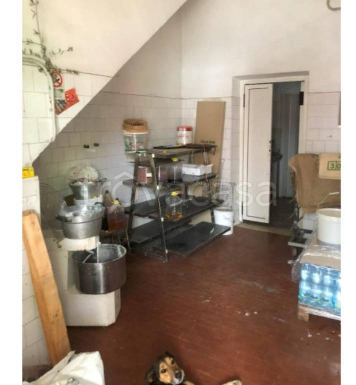 immagine annuncio 5 di 12