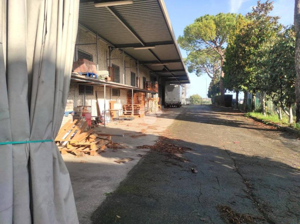 immagine annuncio 5 di 10