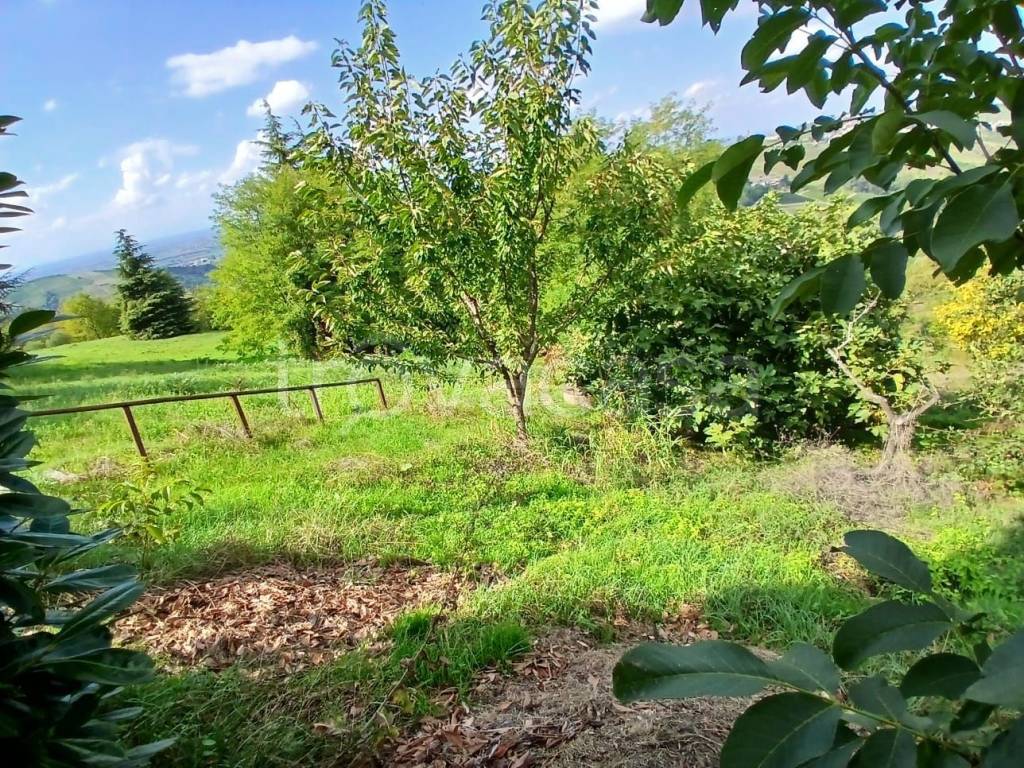 immagine annuncio 9 di 12