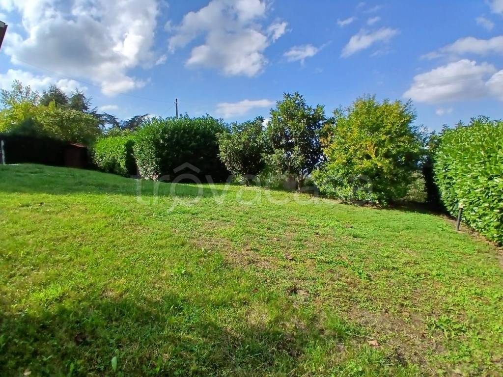 immagine annuncio 10 di 12