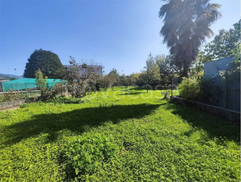 immagine annuncio 3 di 7