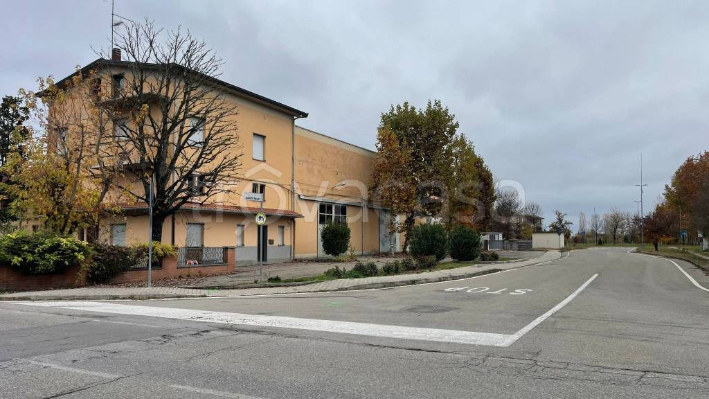 immagine annuncio 5 di 11