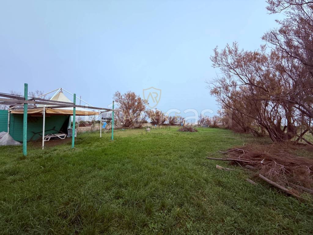 immagine annuncio 3 di 12