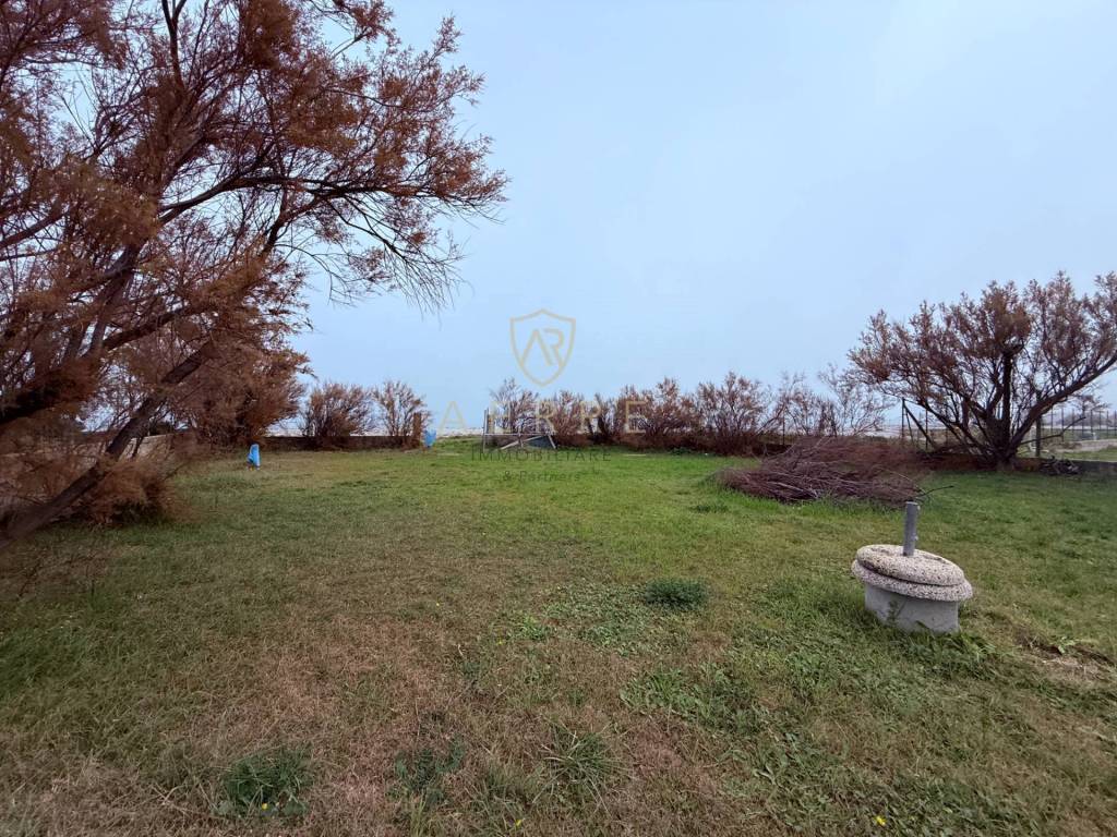 immagine annuncio 6 di 12