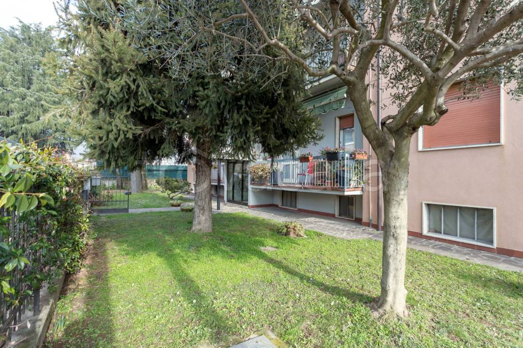 immagine annuncio 1 di 11