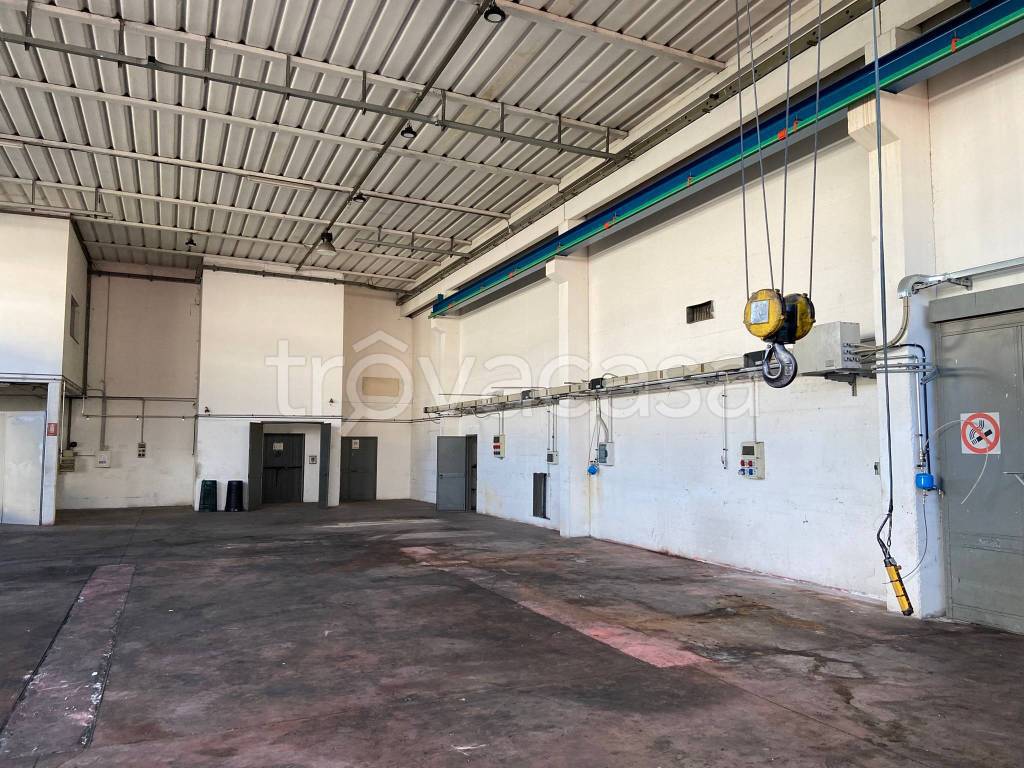 immagine annuncio 9 di 15