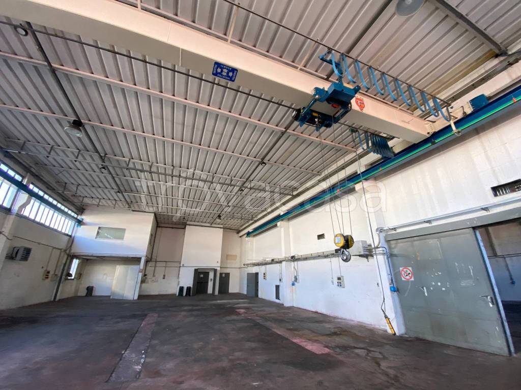 immagine annuncio 12 di 15