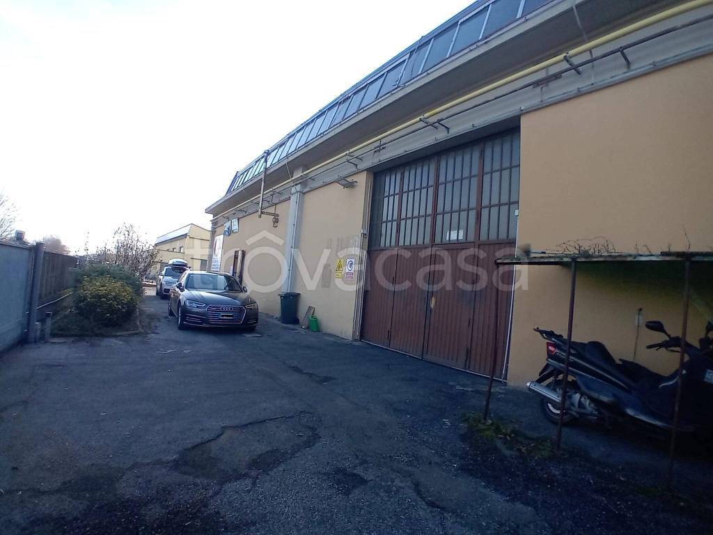 immagine annuncio 12 di 15