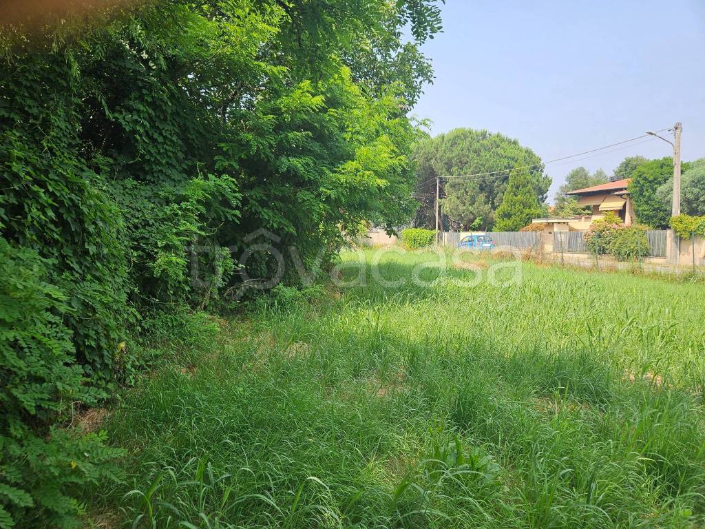 immagine annuncio 13 di 14