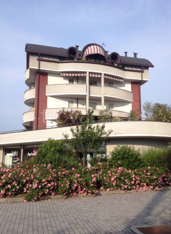 immagine annuncio 14 di 15