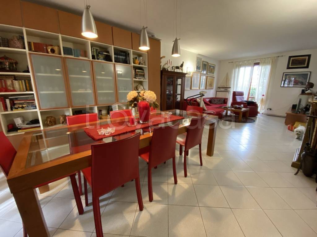 immagine annuncio 3 di 15