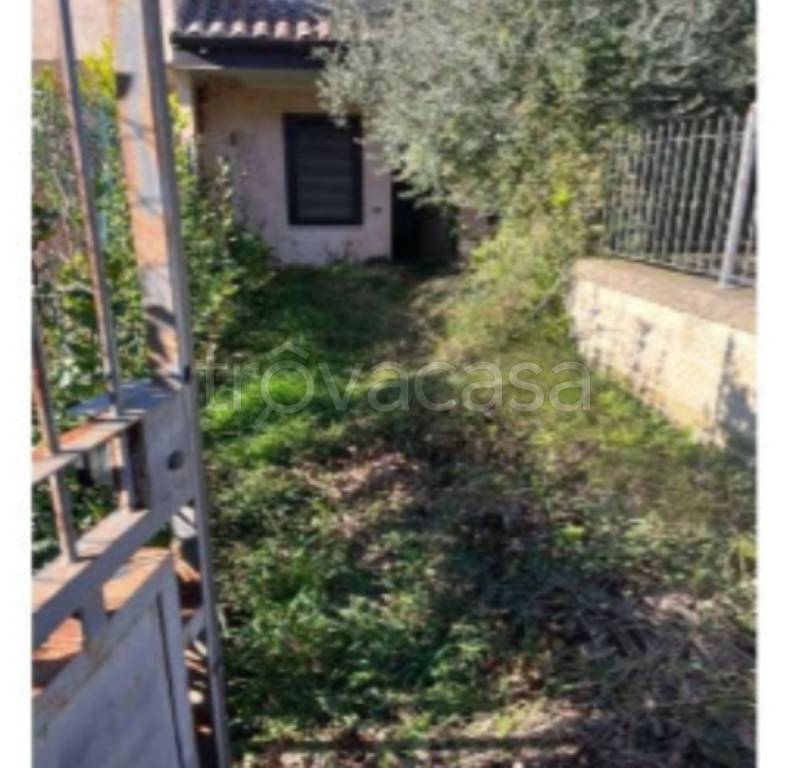 immagine annuncio 1 di 14