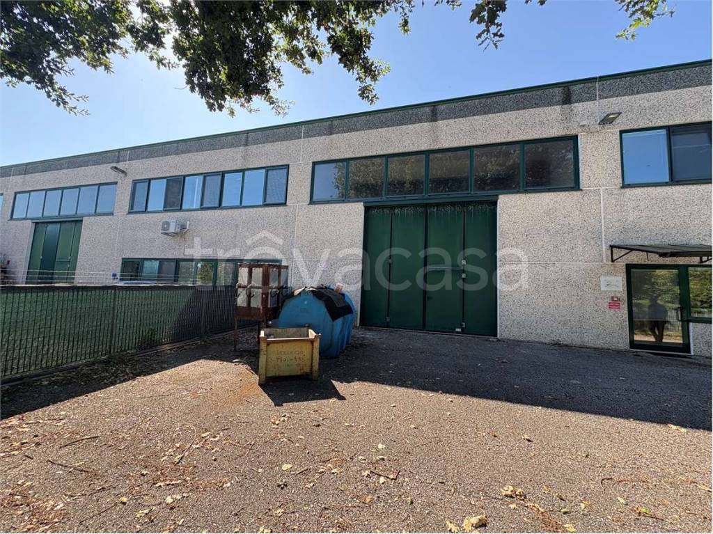 immagine annuncio 7 di 15