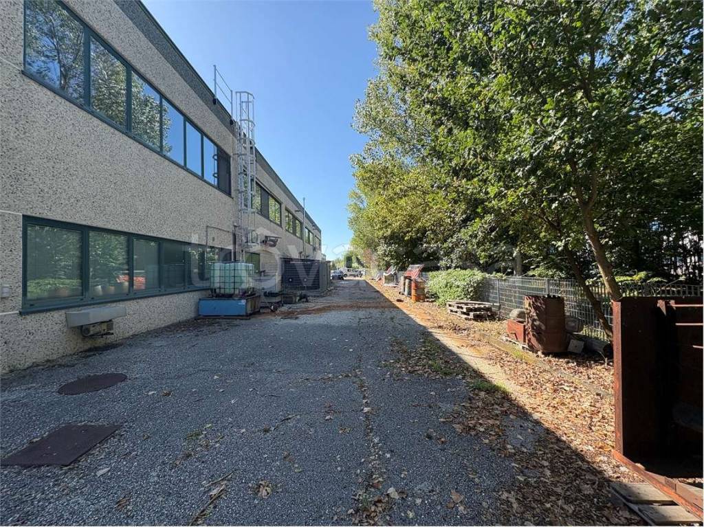 immagine annuncio 8 di 15