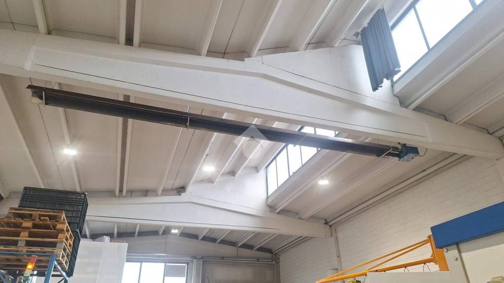 immagine annuncio 3 di 12