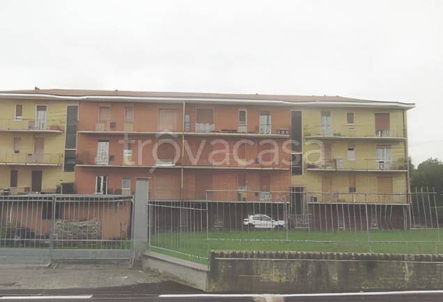 immagine annuncio 5 di 6