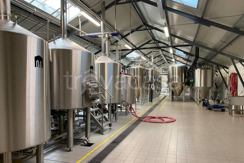 immagine annuncio 2 di 12