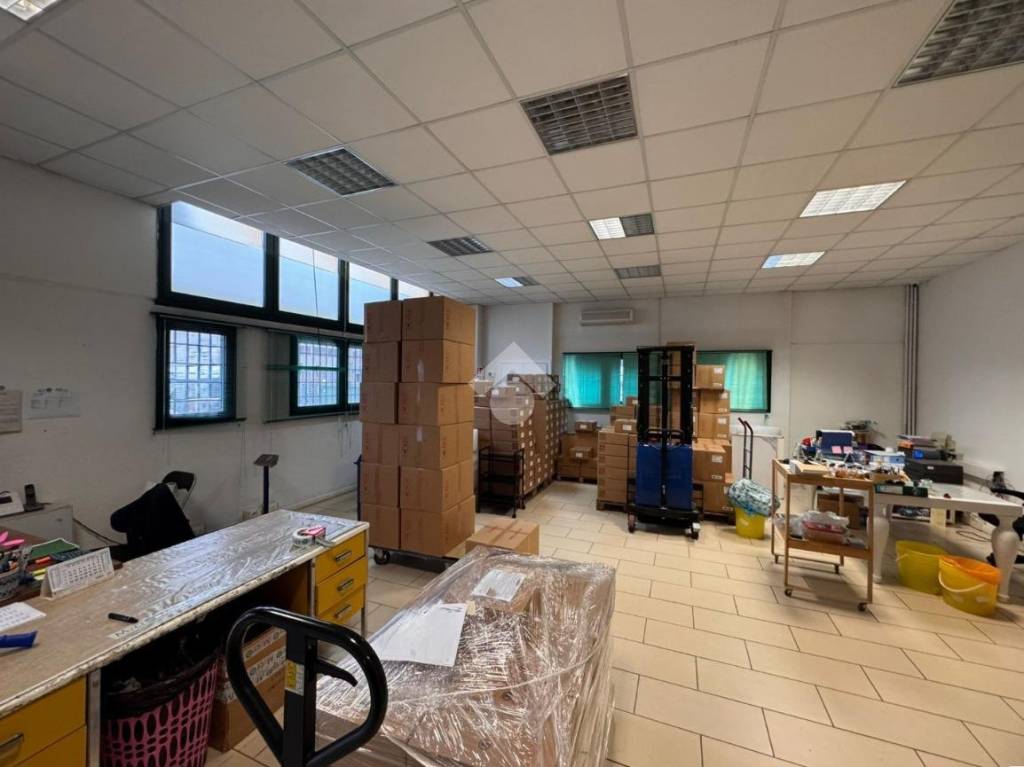 immagine annuncio 13 di 15