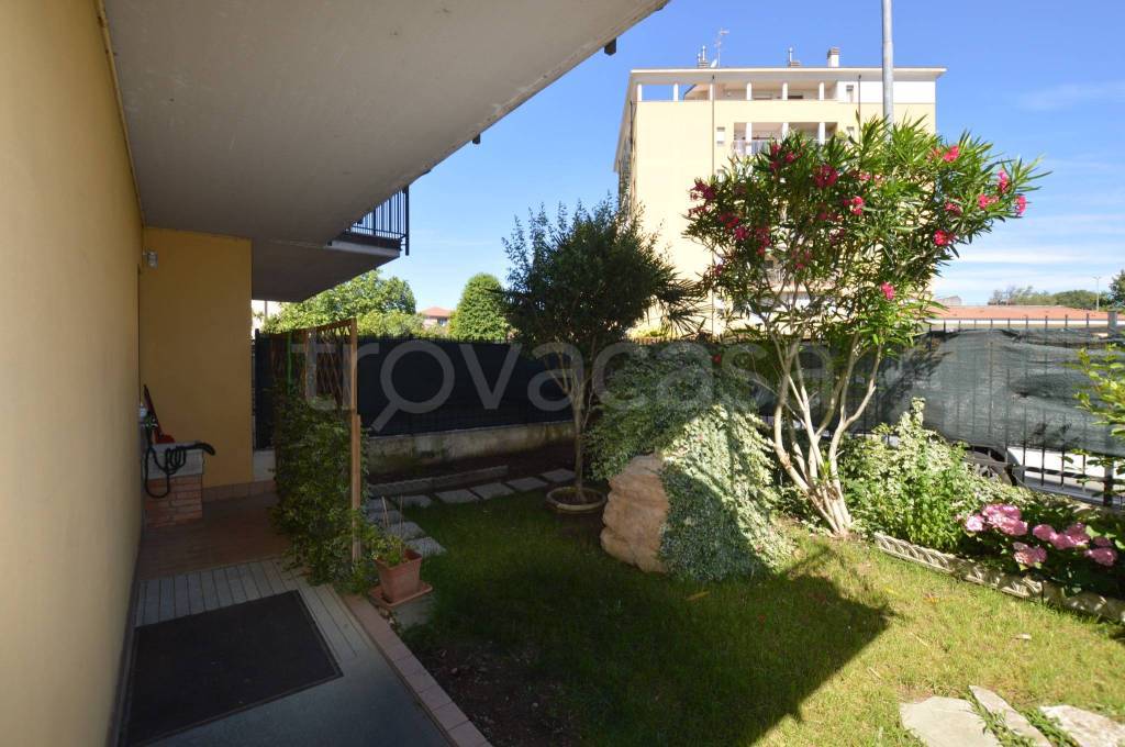 immagine annuncio 1 di 12