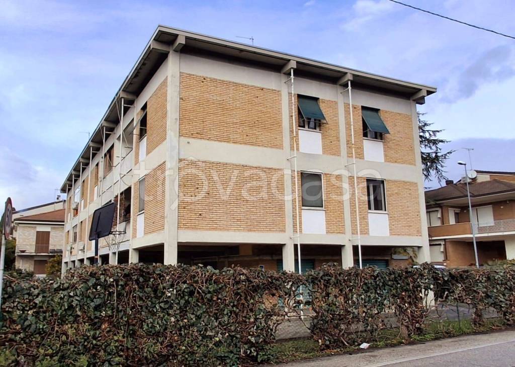 immagine annuncio 1 di 14