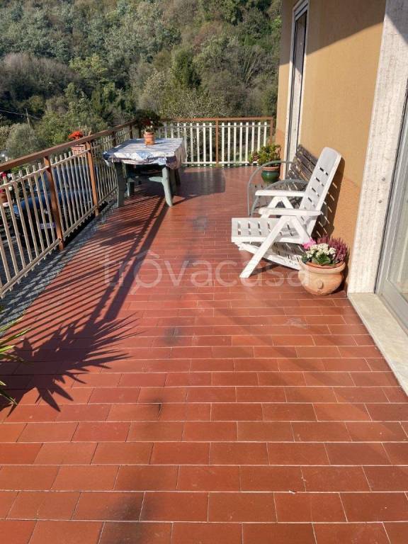 immagine annuncio 3 di 7