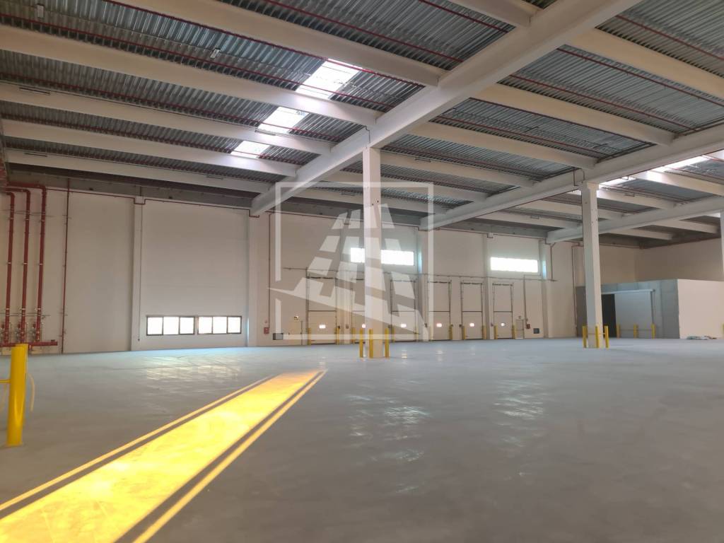 immagine annuncio 5 di 12