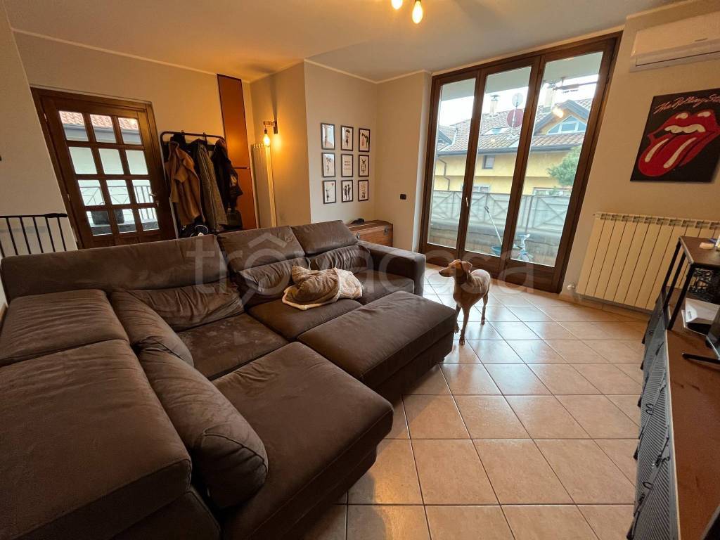 immagine annuncio 3 di 15