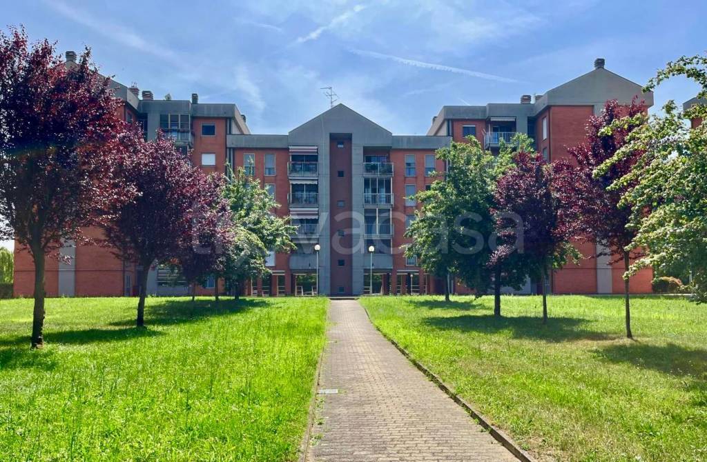 immagine annuncio 2 di 12