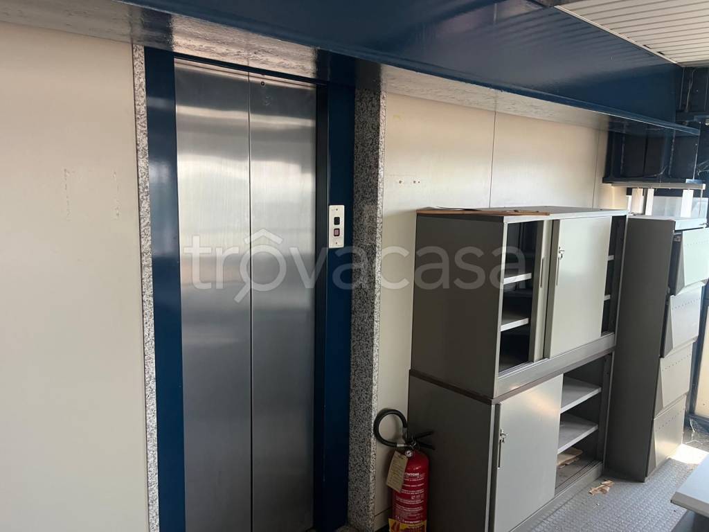 immagine annuncio 5 di 11