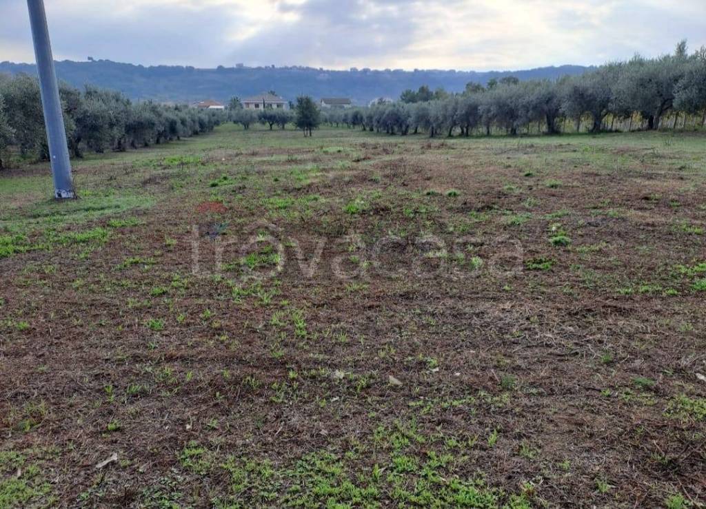 immagine annuncio 7 di 12