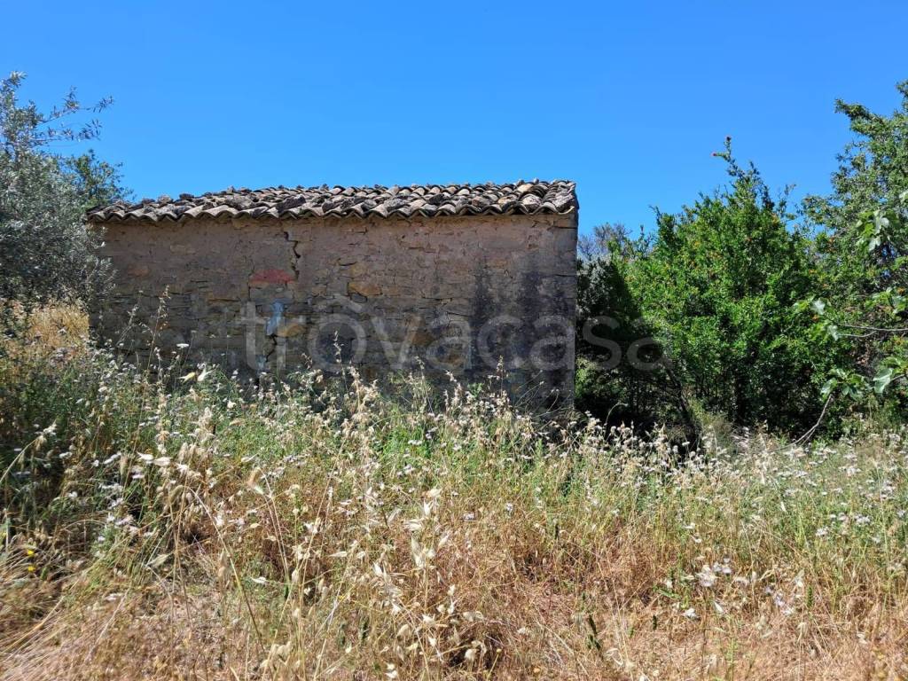 immagine annuncio 2 di 14