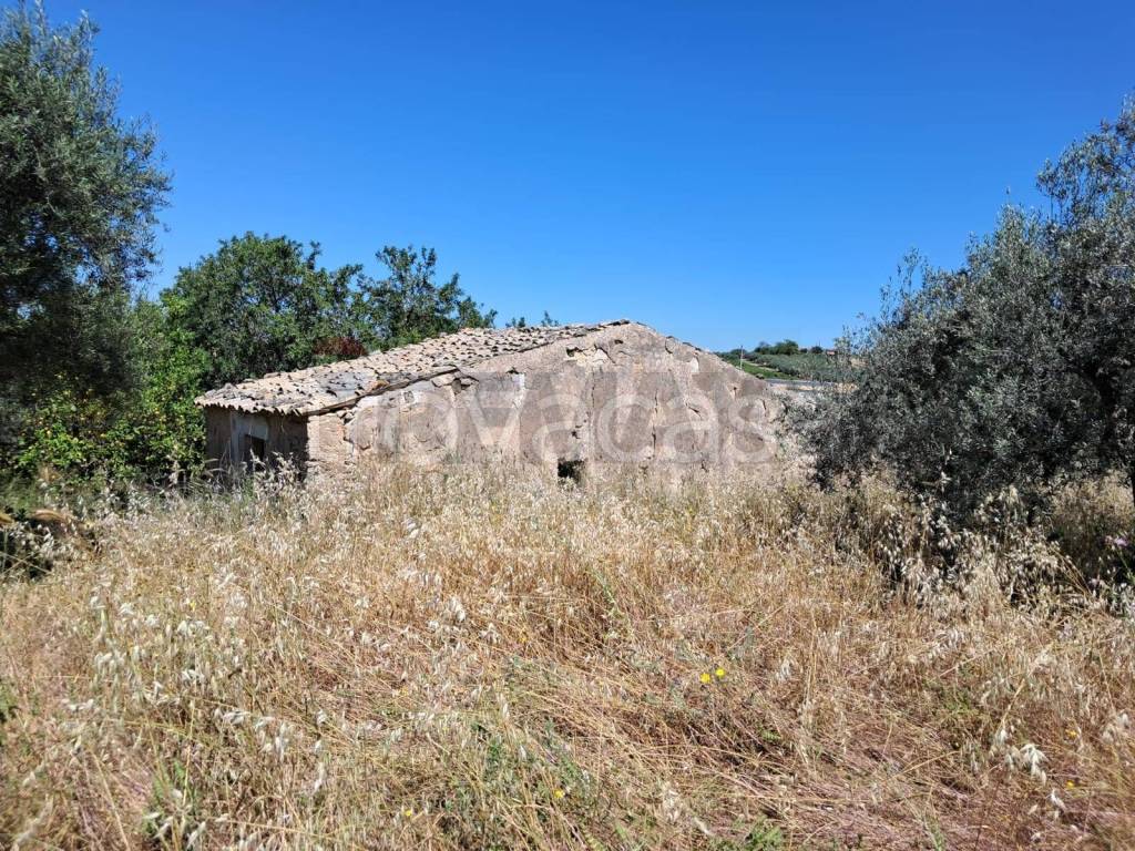 immagine annuncio 6 di 14