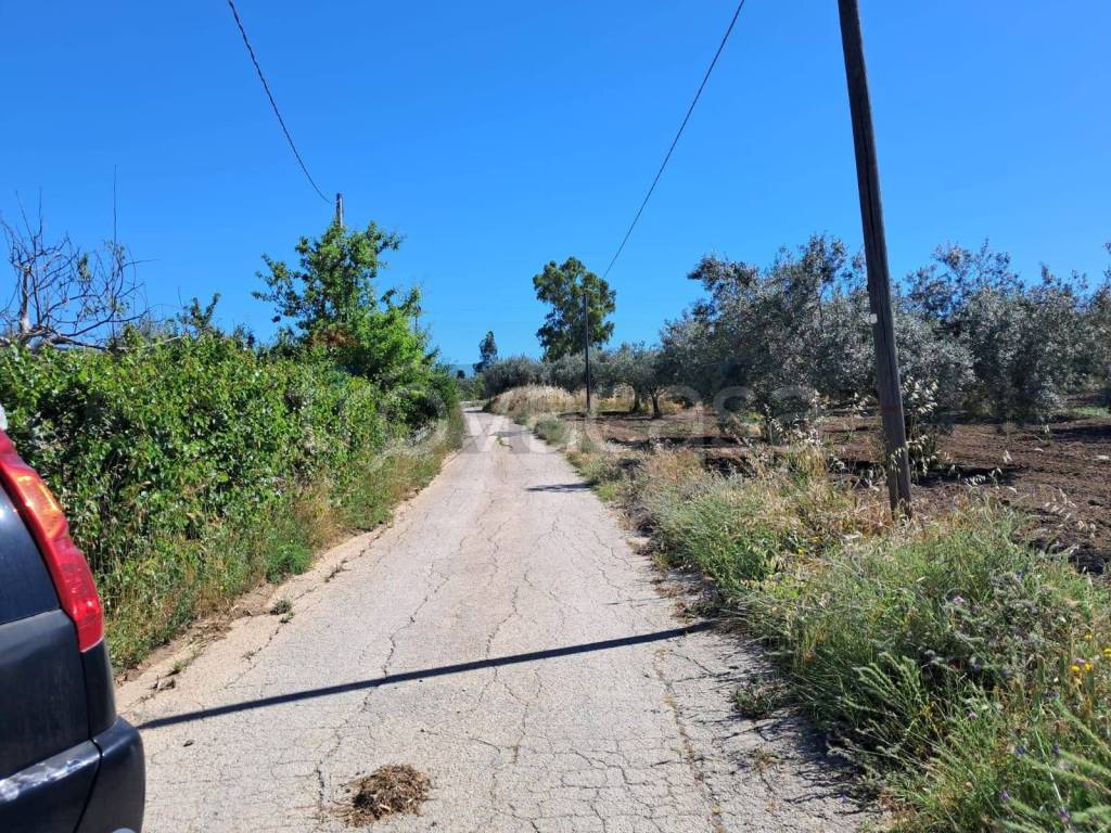 immagine annuncio 12 di 14