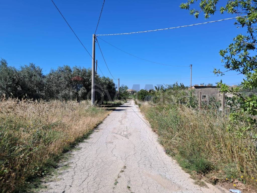 immagine annuncio 13 di 14