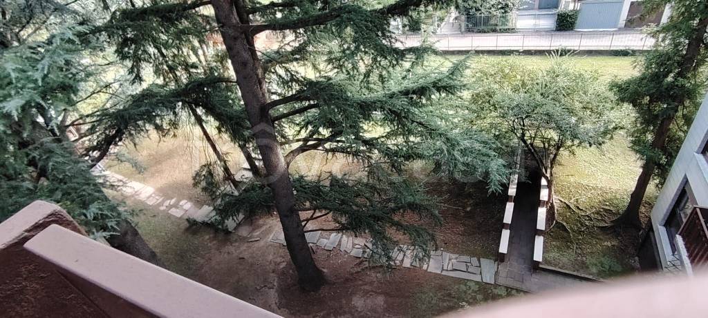 immagine annuncio 9 di 14