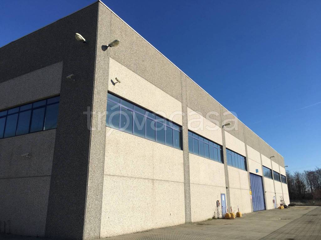 immagine annuncio 10 di 15