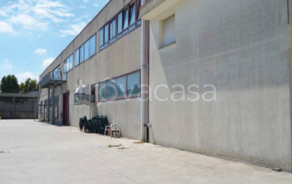 immagine annuncio 4 di 14