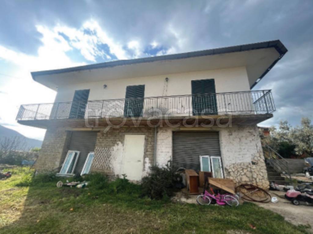 immagine annuncio 1 di 14