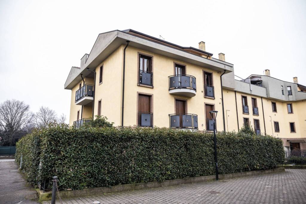 immagine annuncio 5 di 15