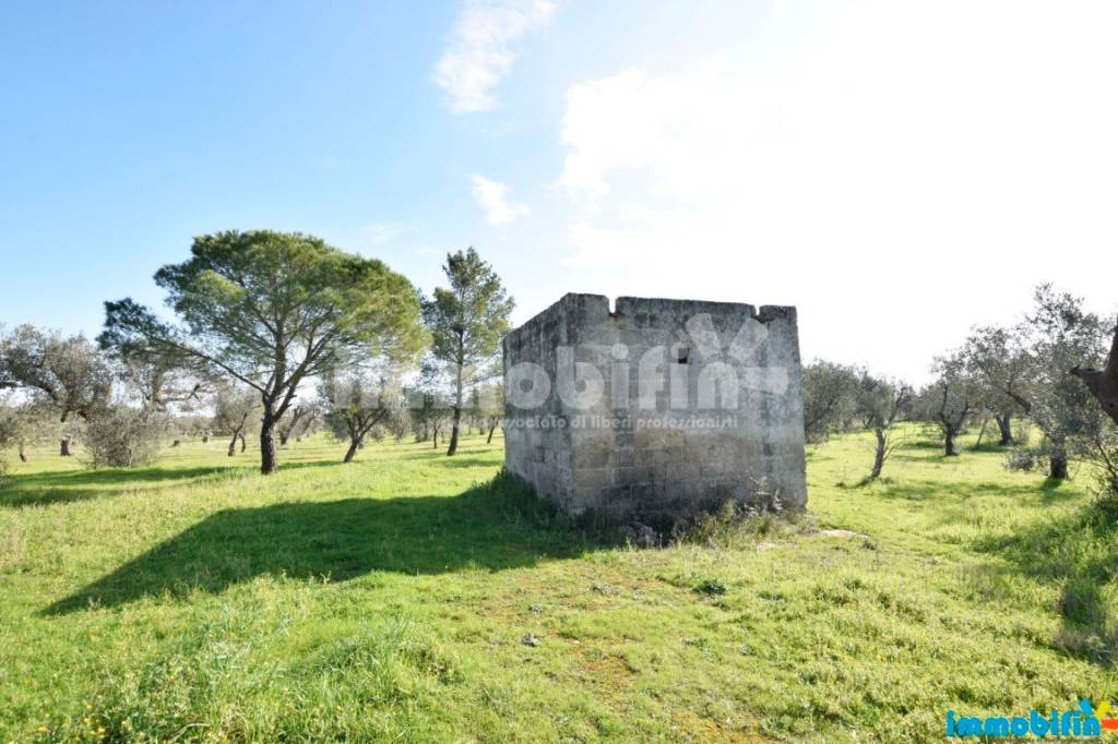 immagine annuncio 2 di 10