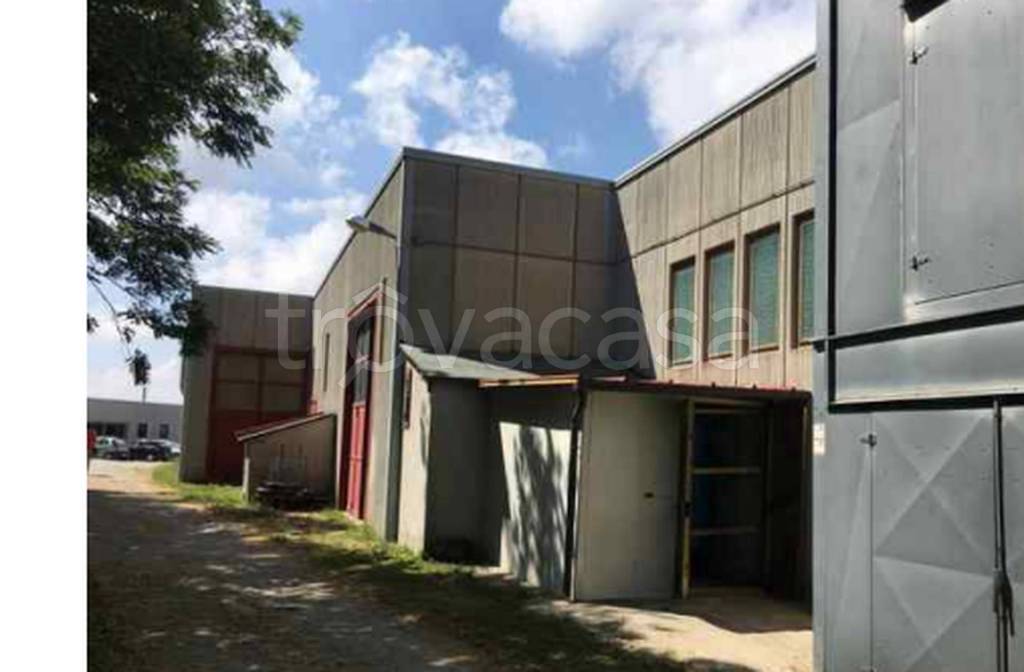 immagine annuncio 2 di 12