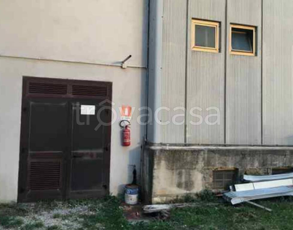 immagine annuncio 6 di 12