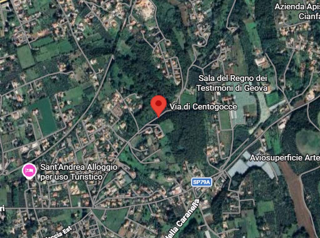 immagine annuncio 2 di 13