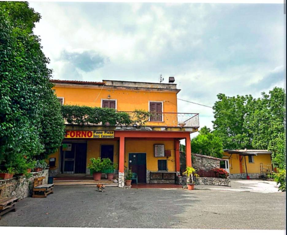 immagine annuncio 7 di 11