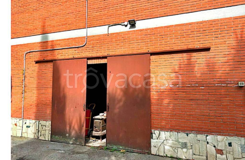 immagine annuncio 3 di 13