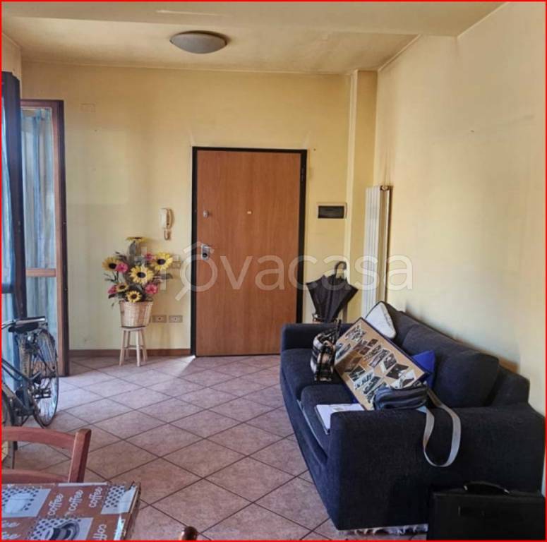 immagine annuncio 3 di 12