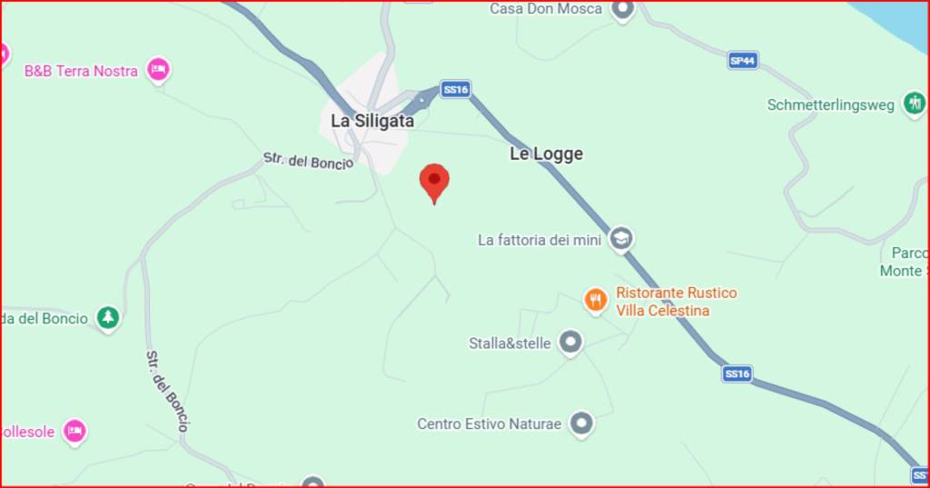 immagine annuncio 10 di 12