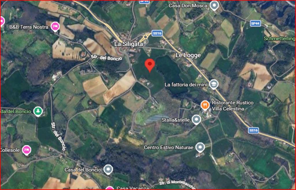 immagine annuncio 11 di 12