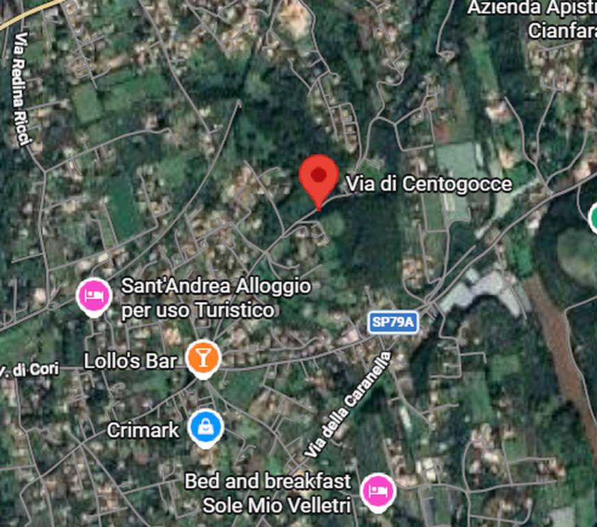 immagine annuncio 11 di 13