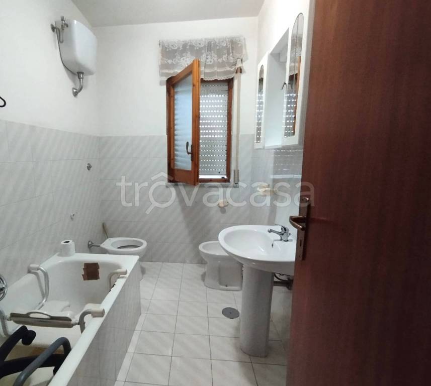 immagine annuncio 9 di 14